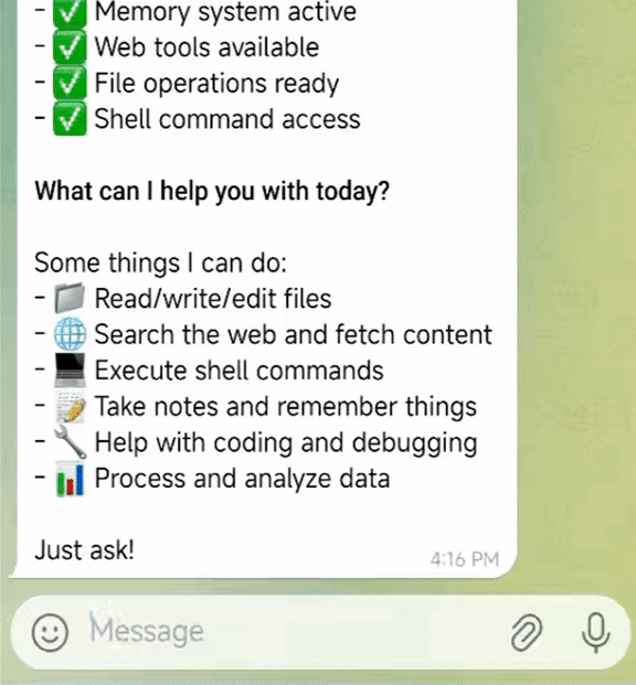 picoclaw memory usage preview